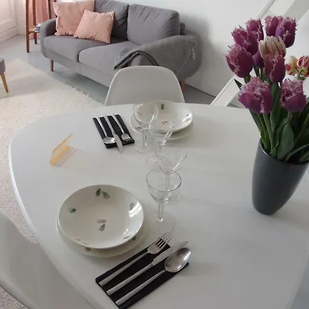 La Garconniere De Apartment